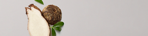 PRODUCT DETAIL INGREDIENTS - DESKTOP - 1440 X 348-Konjac Root Powder